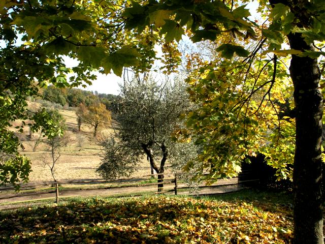  Autumn Flavours